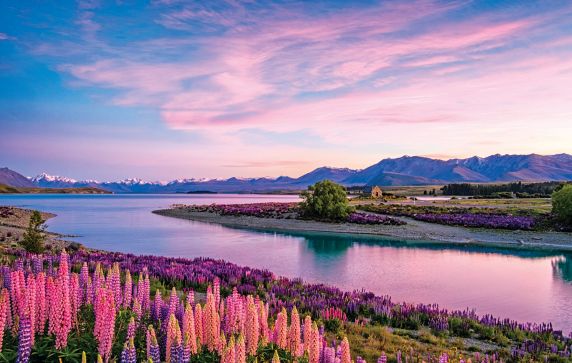 Church of the good shepherd, New Zealand