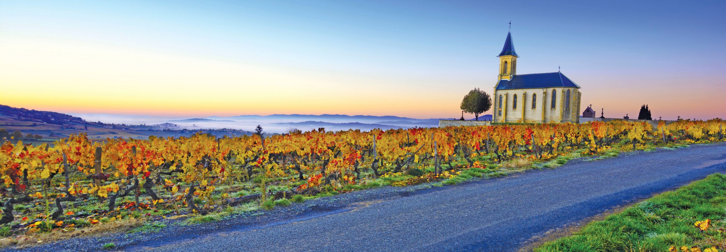 Chapelle de Saint Laurent d'Oingt surrounded by Beaujolais vineyards, France