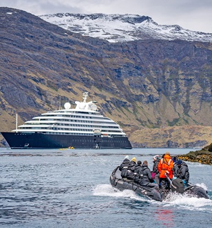 Cobblers Cove, South Georgia, Antarctica
