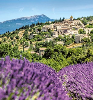 Lavender Fields, Luberon, South of France