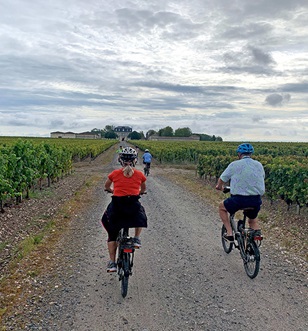 e-biking through Médoc vineyards, Médoc, Bordeaux, France