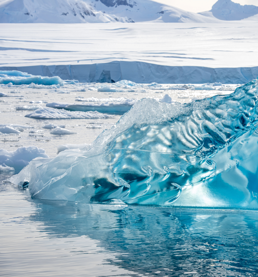 Antarctica Ice bergs