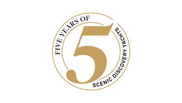 5 Year Anniversary Campaign Banner