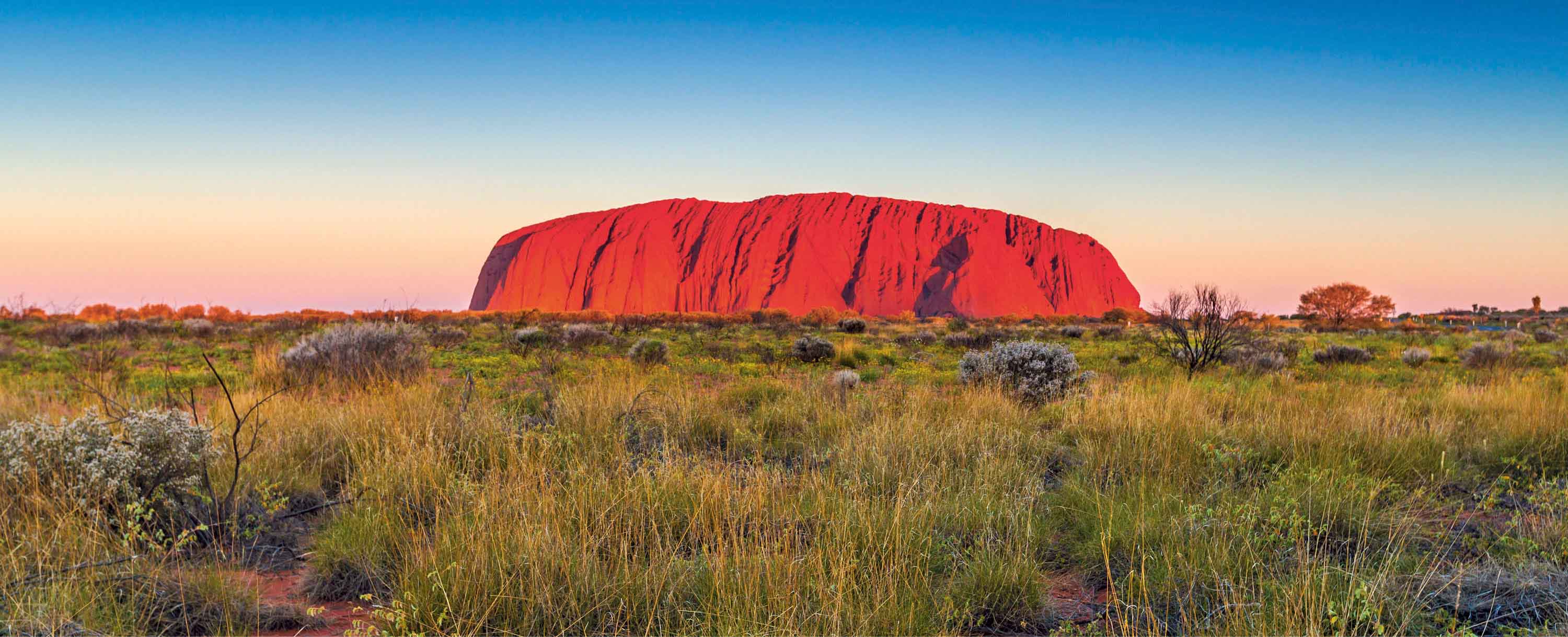 Uluru vibrant and red under the sunset