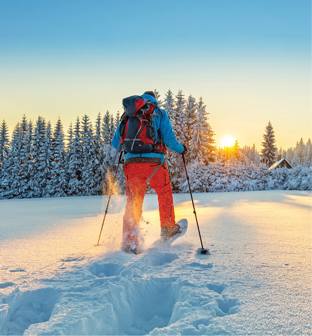 Snowshoeing, Jasper